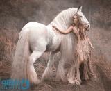 رویای اسب سفید