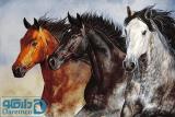 سه اسب سرکش