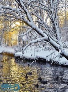 طبیعت زیبای زمستانی 1 - سایز 2