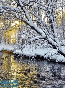 طبیعت زیبای زمستانی 1 - سایز 1