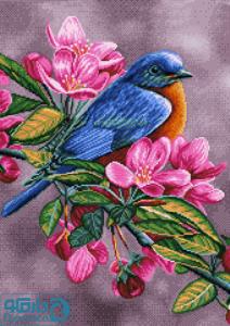 پرنده در کنار شکوفه ها