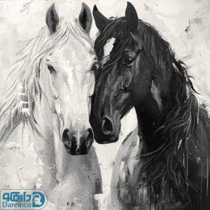 یار مهربان - سایز ۲